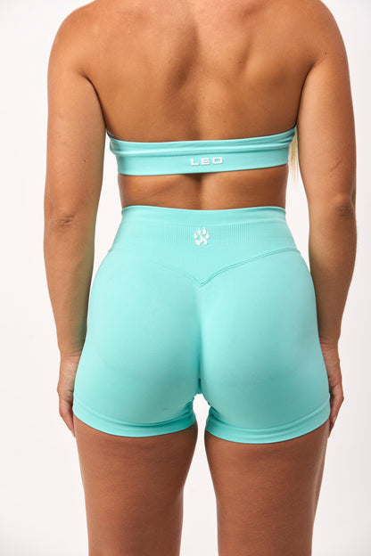 Elevate Sports Bra